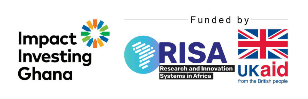 IIG Risa UK Aid logo strip (1)